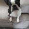 Bennie