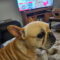 Tucker