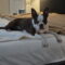 Betty