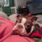 Zoey