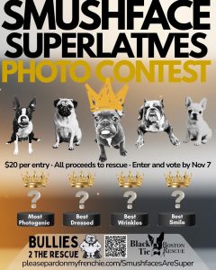 Smushface Paloozafest 2025 Photo Contest