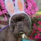 Eugene