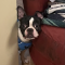 Roscoe