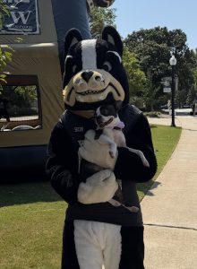Wofford Terriers Football - Final Home Game